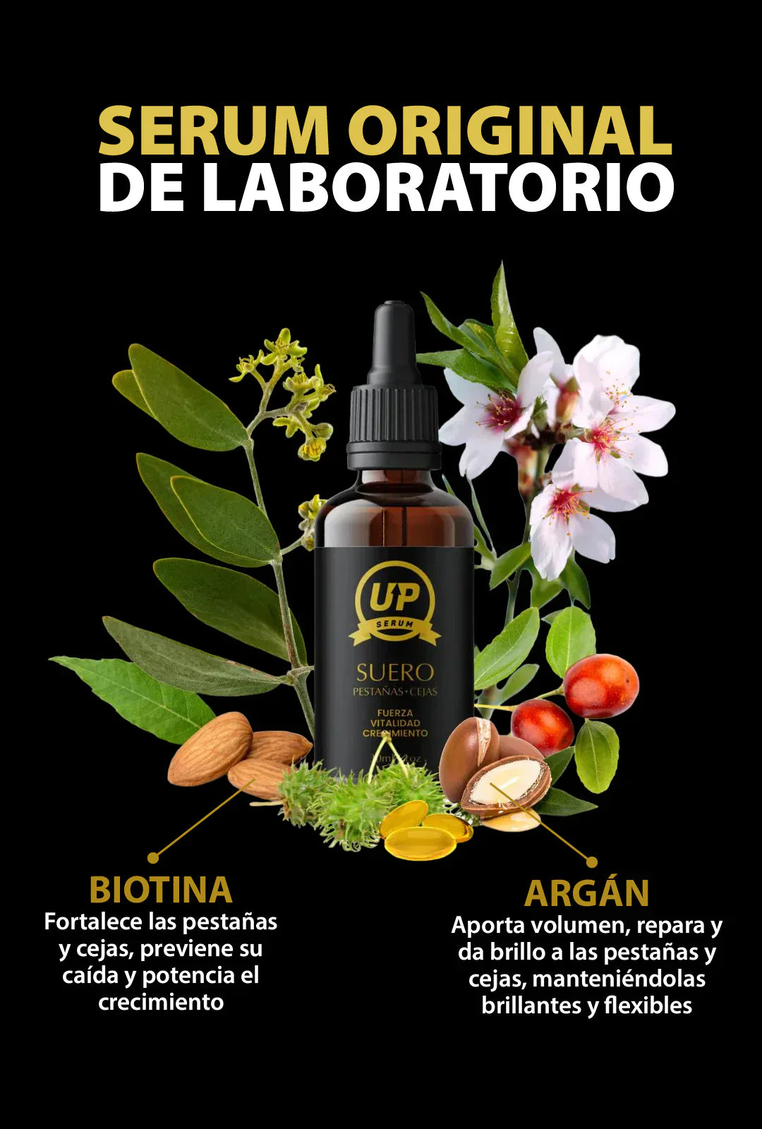 SERUM UP PRO® Alargamiento de pestañas y cejas🤩